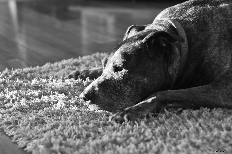 What Is a Normal Lens? Essential Guide to Standard Lenses and When to Use Them