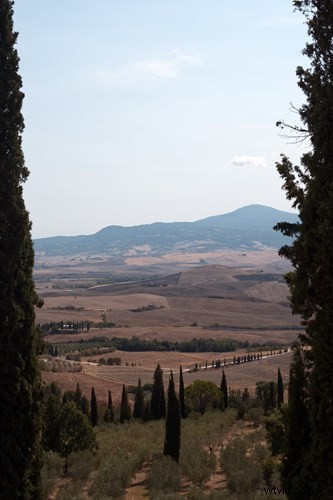 What Is a Normal Lens? Essential Guide to Standard Lenses and When to Use Them