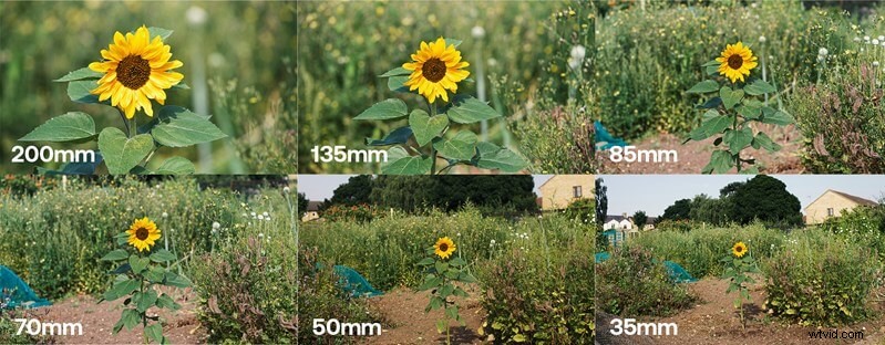 Focal Length Explained: Master It for Stunning Video Shots