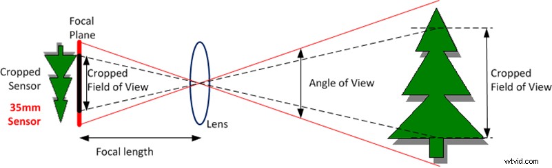 Focal Length Explained: Master It for Stunning Video Shots