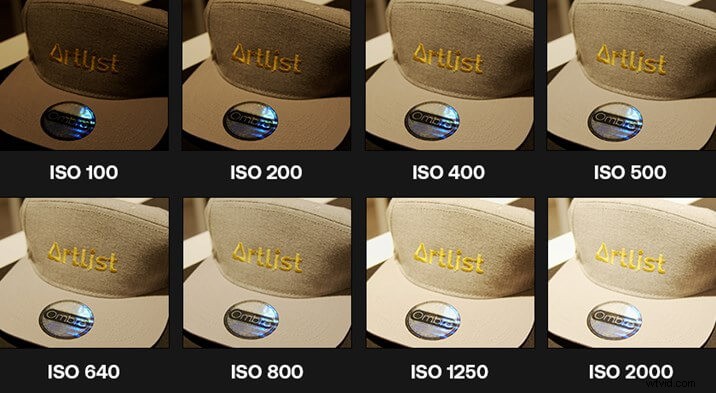 Mastering Sensor Sensitivity: Your Guide to Camera ISO, EI, and Gain