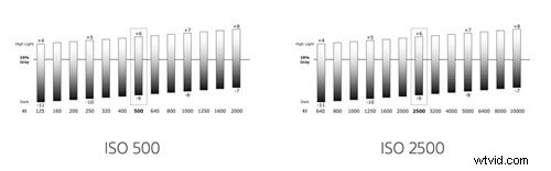 Mastering Sensor Sensitivity: Your Guide to Camera ISO, EI, and Gain