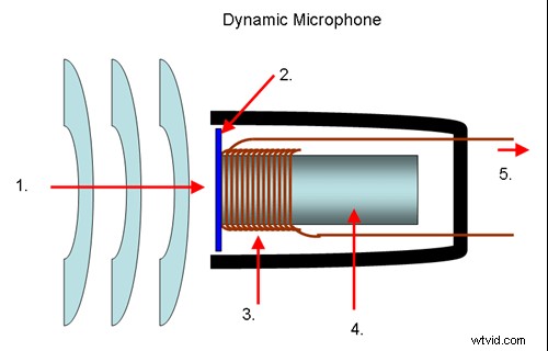 Best Microphones for Vloggers, Podcasters & Filmmakers: Expert Picks