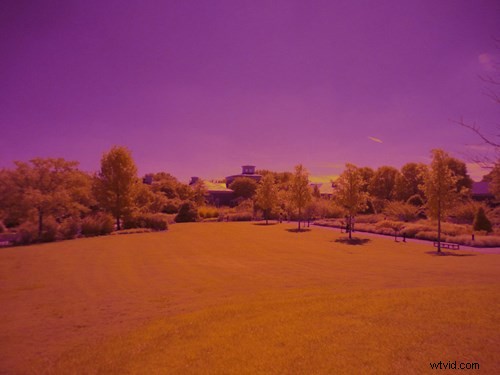 Master Infrared Videography: Capture Surreal IR Videos with Ease