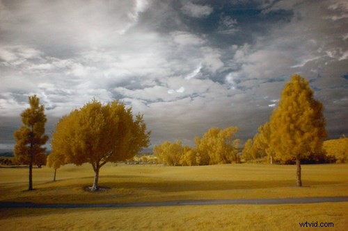Master Infrared Videography: Capture Surreal IR Videos with Ease