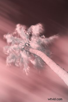 Camera Filters for Beginners: Essential Guide to Enhance Your Shots