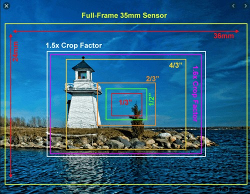 Mirrorless vs. DSLR: Expert Guide to Choosing the Perfect Camera for Your Needs