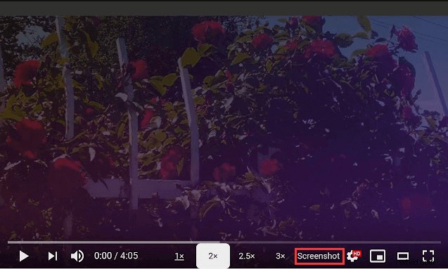 How to Capture High-Quality Screenshots from YouTube Videos: Easy Guide
