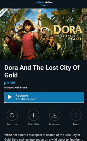 5 Best Ways to Record and Rip Amazon Prime Video on Windows, Mac, and Mobile