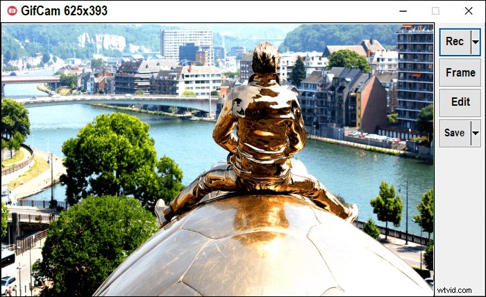 Top GIF Screen Recorder: Capture & Convert Screen to GIF on Windows & Mac