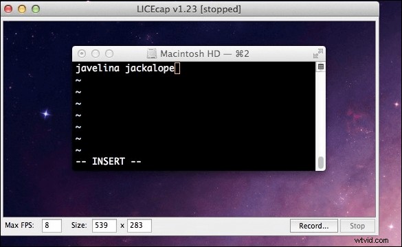 Top GIF Screen Recorder: Capture & Convert Screen to GIF on Windows & Mac