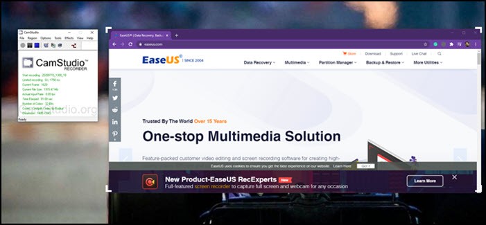 Top 10 Best Full-Screen Recorders for Windows & Mac: Expert Picks