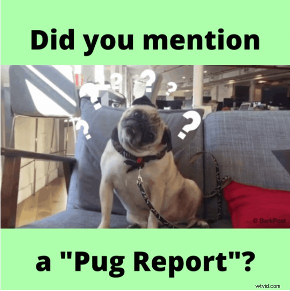 How to Write Effective Bug Reports: Free Tool + Template