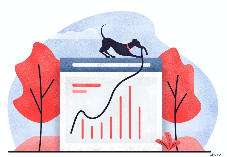 Ultimate Guide to Video Production: Step-by-Step Video Creation Mastery