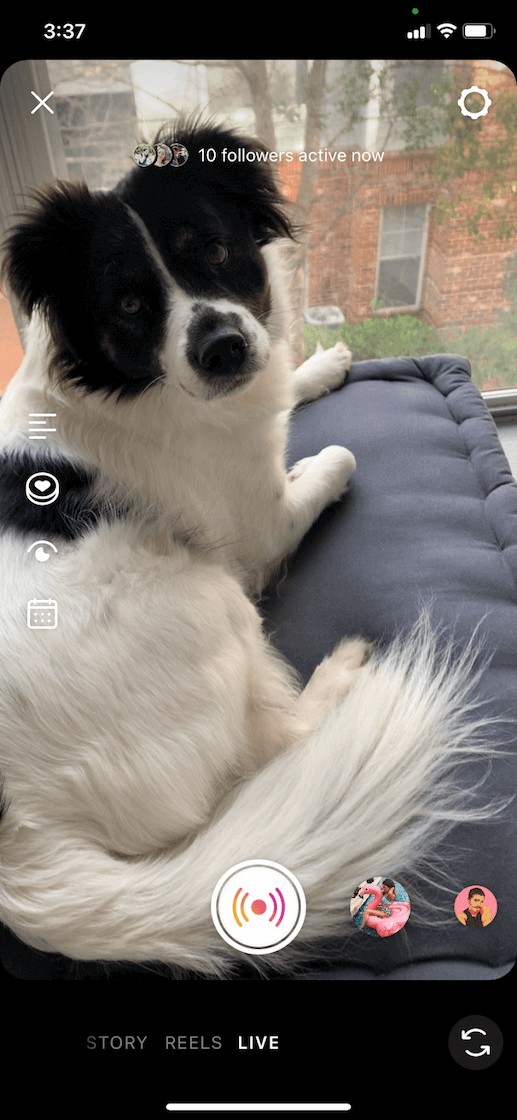 Ultimate Guide: Live Stream Seamlessly on Any Device to Any Platform (2022)