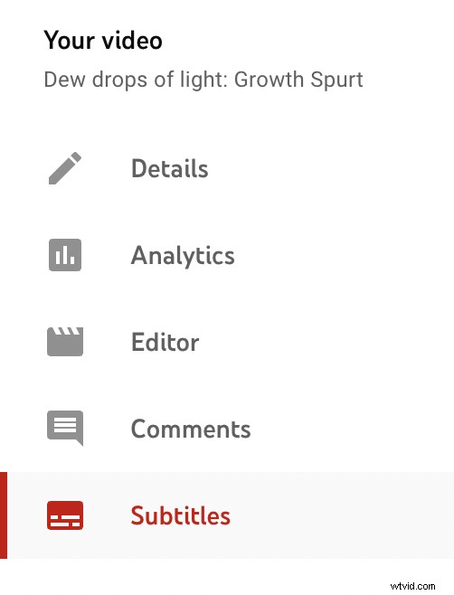 How to Automatically Add Free Captions to Videos: Easy Guide