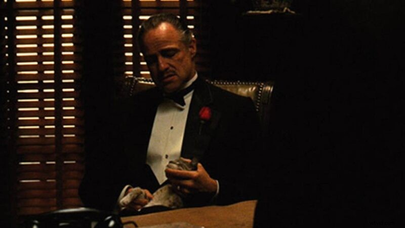 What Does a Cinematographer Do? Key Duties in Film & TV Production