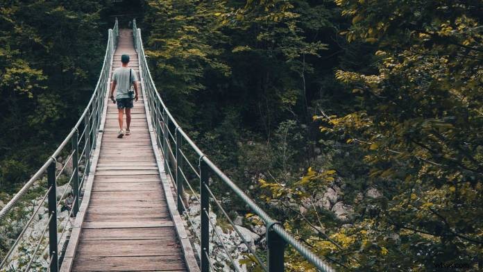 Mastering Visual Composition: Pro Techniques for Stunning Shots