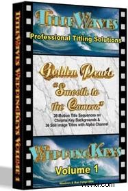 DV Caddie Shoulder Rest: Enhance Stability for Small Camcorders – Professional Video Accessory