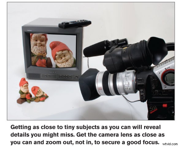 Master Macro Videography: Capture Stunning Micro Worlds in Video