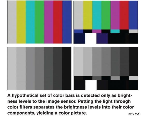 How CMOS and CCD Sensors in Your Camera Capture Light: The Science Explained