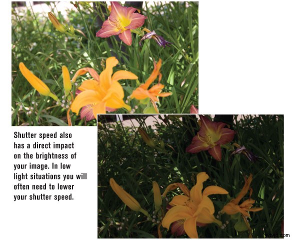 Master Shutter Speed: Achieve Professional Video Quality