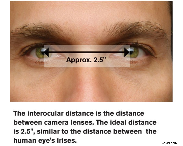 Shooting Professional 3D Video: Essential Guide for Experts