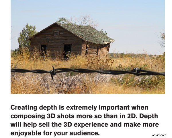 Shooting Professional 3D Video: Essential Guide for Experts