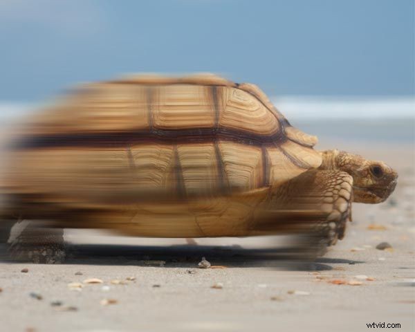 Mastering Time Perception: How to Expand and Condense Moments