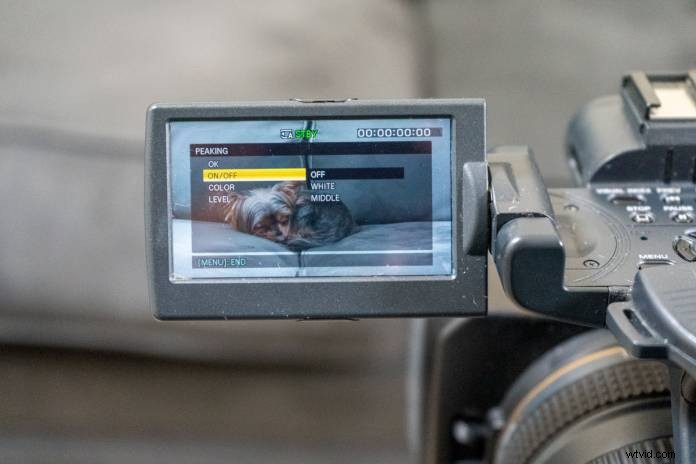 Focus Peaking Explained: What It Is and How to Use It for Sharp Manual Focus