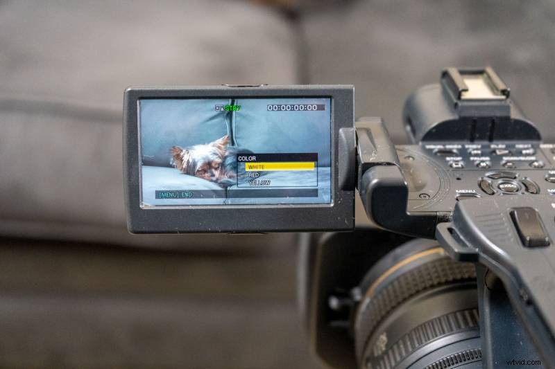 Focus Peaking Explained: What It Is and How to Use It for Sharp Manual Focus