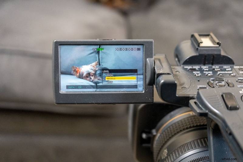 Focus Peaking Explained: What It Is and How to Use It for Sharp Manual Focus