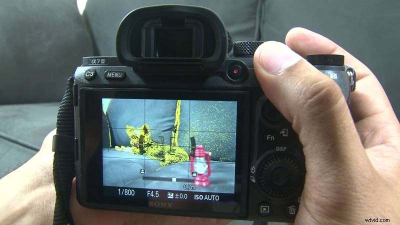 Focus Peaking Explained: What It Is and How to Use It for Sharp Manual Focus