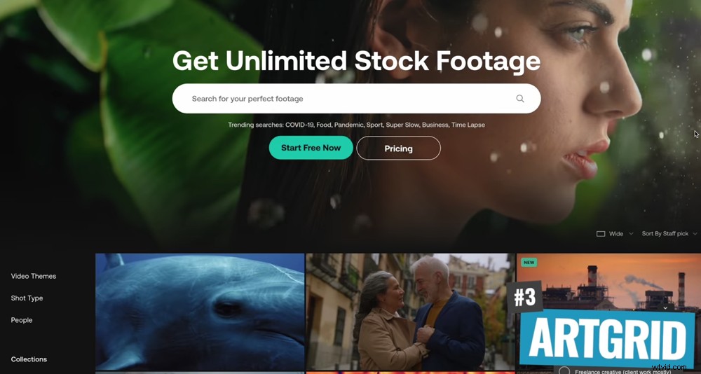 Top Royalty-Free Stock Video Sites: 2022 Expert Review & Comparison