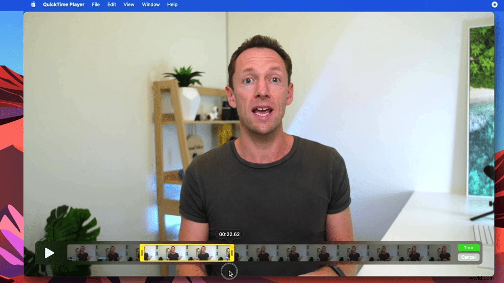 My Go-To Video Editing Software for Mac & Windows (And Why I Use It)