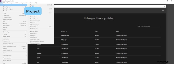How to Remove Audio from Video in Adobe Premiere Pro: Step-by-Step Guide