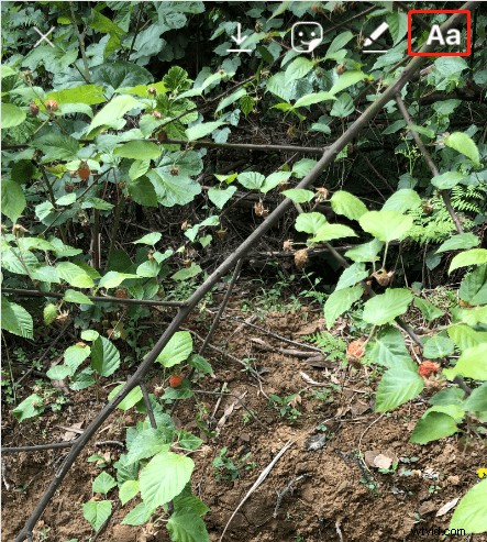 How to Customize Fonts on Instagram: Bio, Posts, Stories + Key Benefits