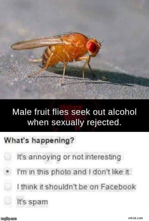 Understanding the I m in This Picture and I Don t Like It Meme: Origin, Meaning & Examples