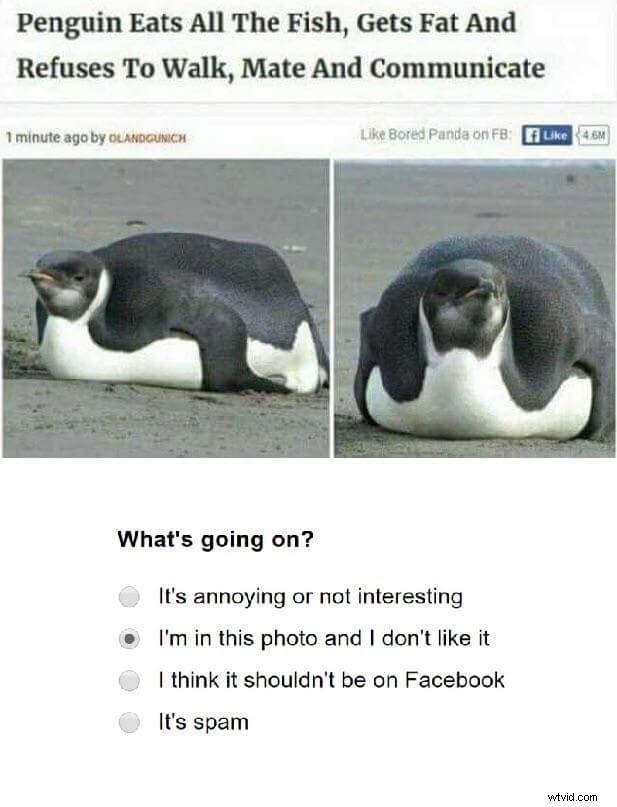 Understanding the I m in This Picture and I Don t Like It Meme: Origin, Meaning & Examples