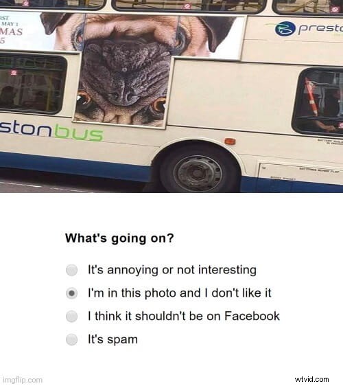 Understanding the I m in This Picture and I Don t Like It Meme: Origin, Meaning & Examples