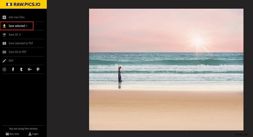 NEF File Guide: What It Is and How to Open, Convert & Edit Nikon RAW Images