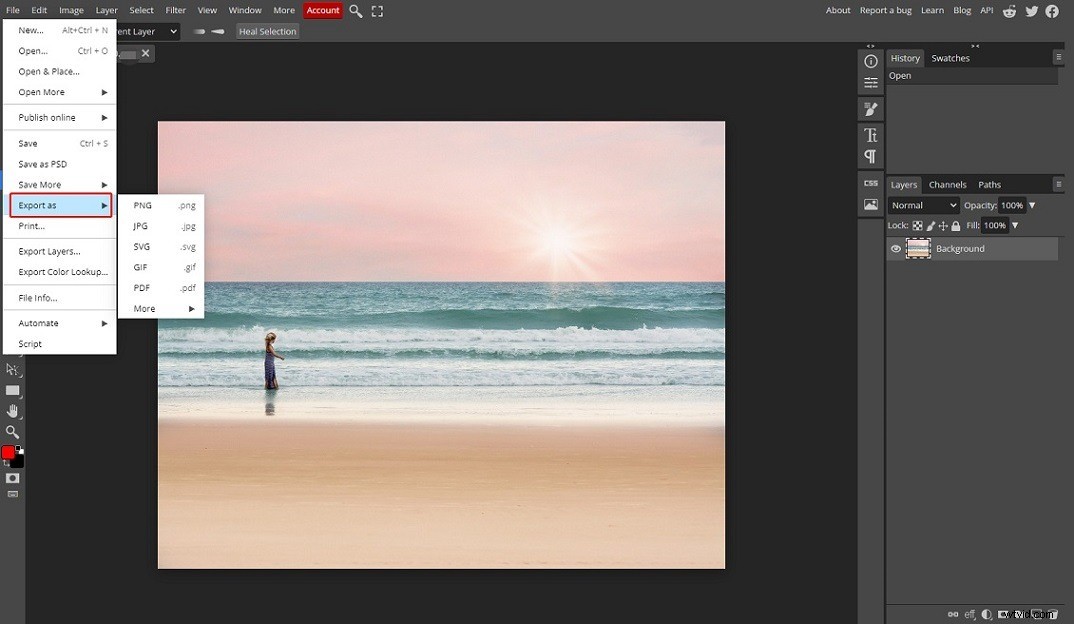 NEF File Guide: What It Is and How to Open, Convert & Edit Nikon RAW Images