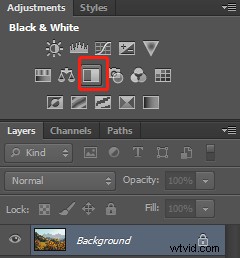 How to Convert Images to Black and White in Photoshop & GIMP: Step-by-Step Guide