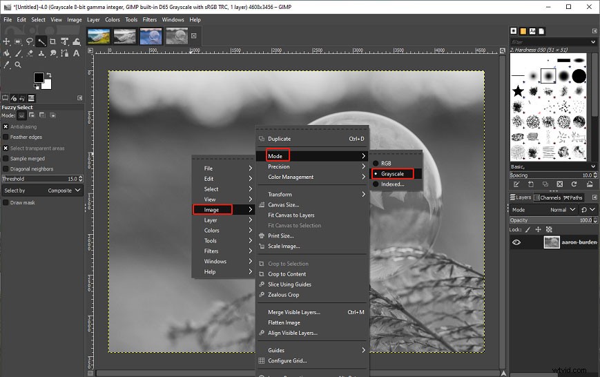 How to Convert Images to Black and White in Photoshop & GIMP: Step-by-Step Guide