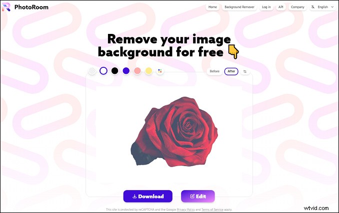 Top 7 Best Free Online Image Background Removers – No Software Needed