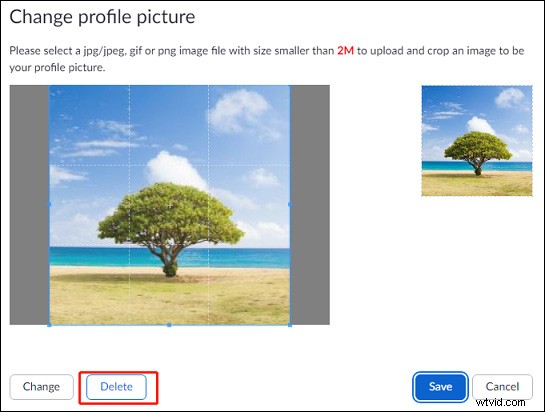 How to Add, Change, or Delete Your Zoom Profile Picture: Complete Guide