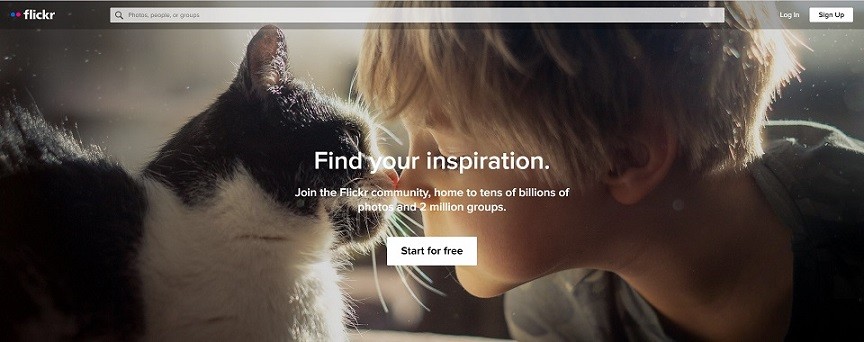Top 5 Imgur Alternatives for Reliable Image Sharing and Hosting