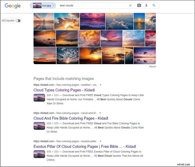 Free Reverse Image Search: Top 4 Tools to Find Any Image Source Instantly