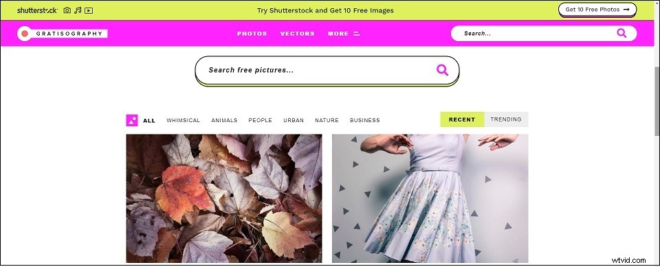 Top 10 Best Free & Affordable Stock Photo Websites (2024)