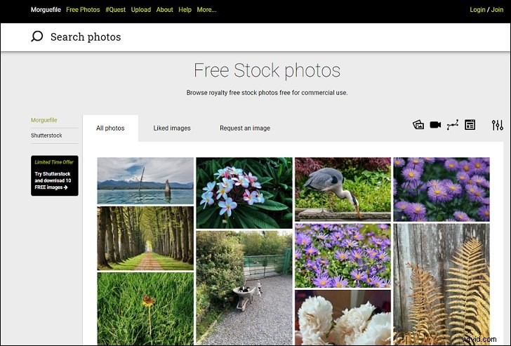 Top 10 Best Free & Affordable Stock Photo Websites (2024)